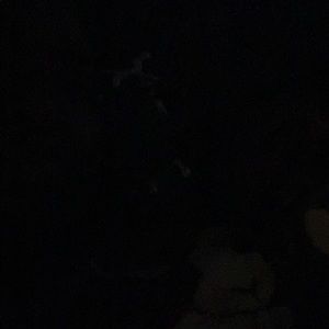 Meet your Posher, Temilola